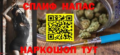 СК Моздок