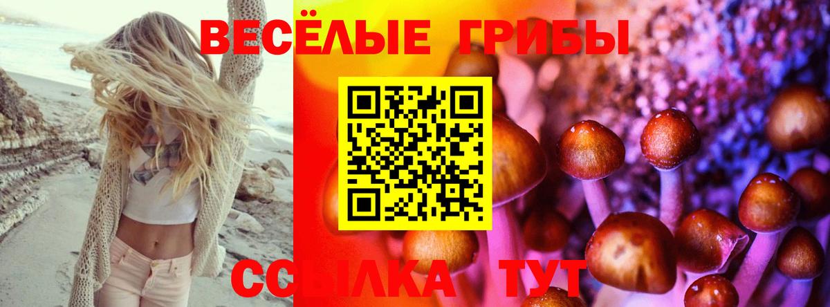 Псилоцибиновые грибы Psilocybine cubensis  Вход с VPN  Уссурийск 